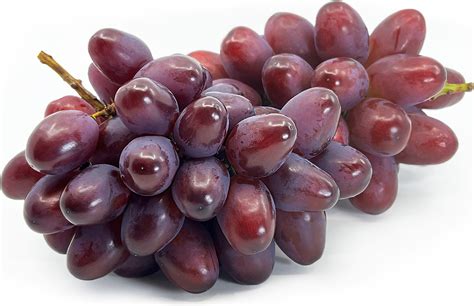 porn grape